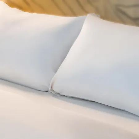 Hotel Sud Venise Verte 3*