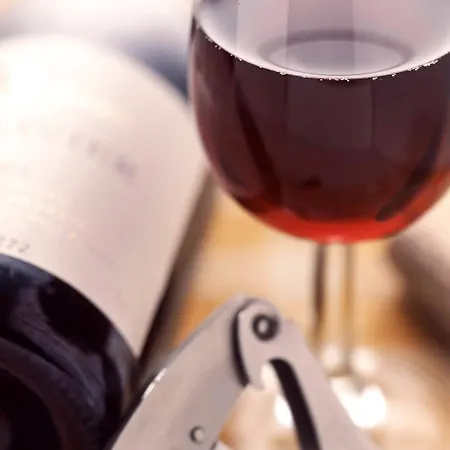 Отель Sud Venise Verte