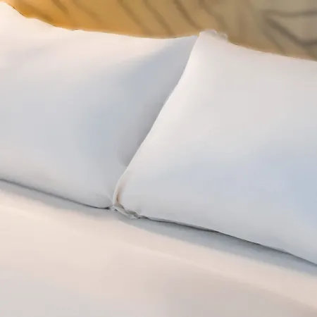 Sud Venise Verte Hotel Niort