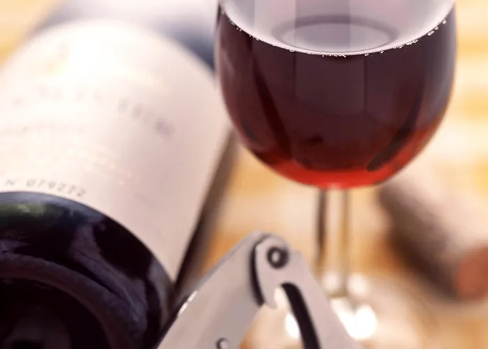 Hotel Sud Venise Verte