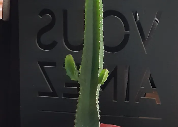 Sud Venise Verte Niort