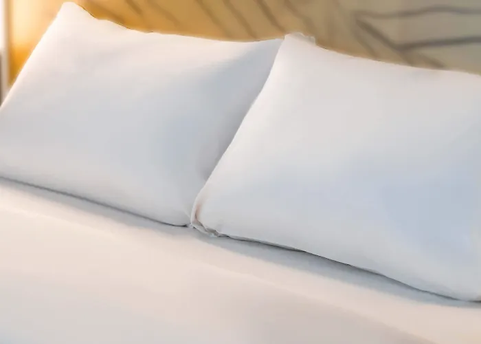 Sud Venise Verte Hotel Niort