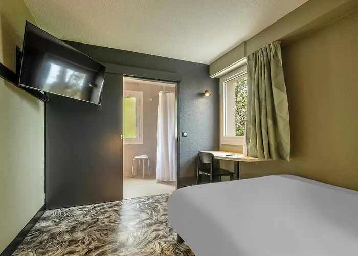 Hotel Sud Venise Verte 3*